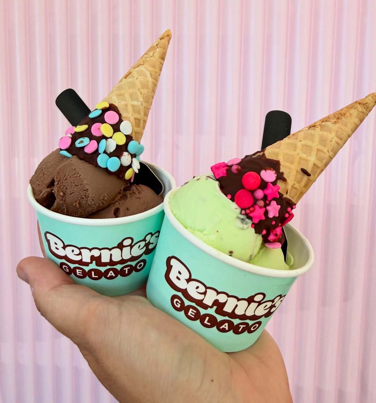 Two Bernie's-branded cups of chocolate and pistachio gelato topped with dipped waffle cones and sprinkles