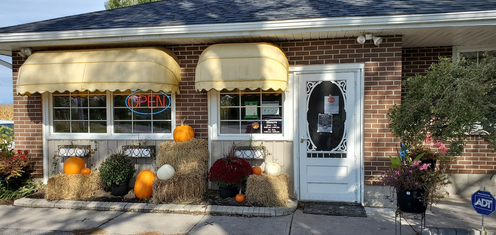 Betty's storefront with yellow awnings, an OPEN sign and autumn pumpkins