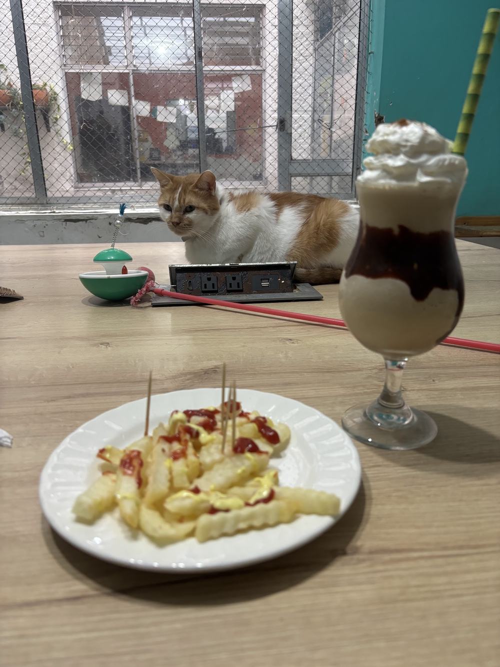 Un gato junto a una bebida de café frío con crema y un plato de papas a la francesa