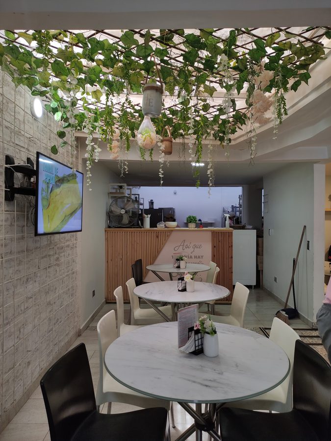 Interior de El Reposo con plantas colgantes, techo tipo enredadera y mesas de café