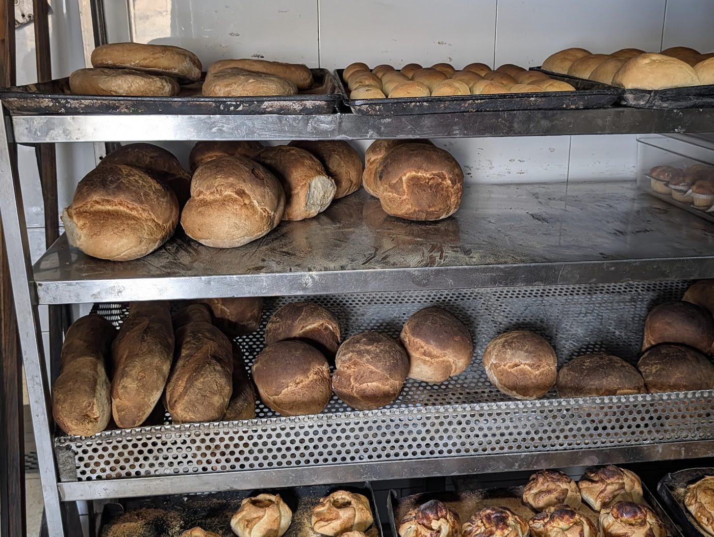 Shelves of fresh bread and rolls