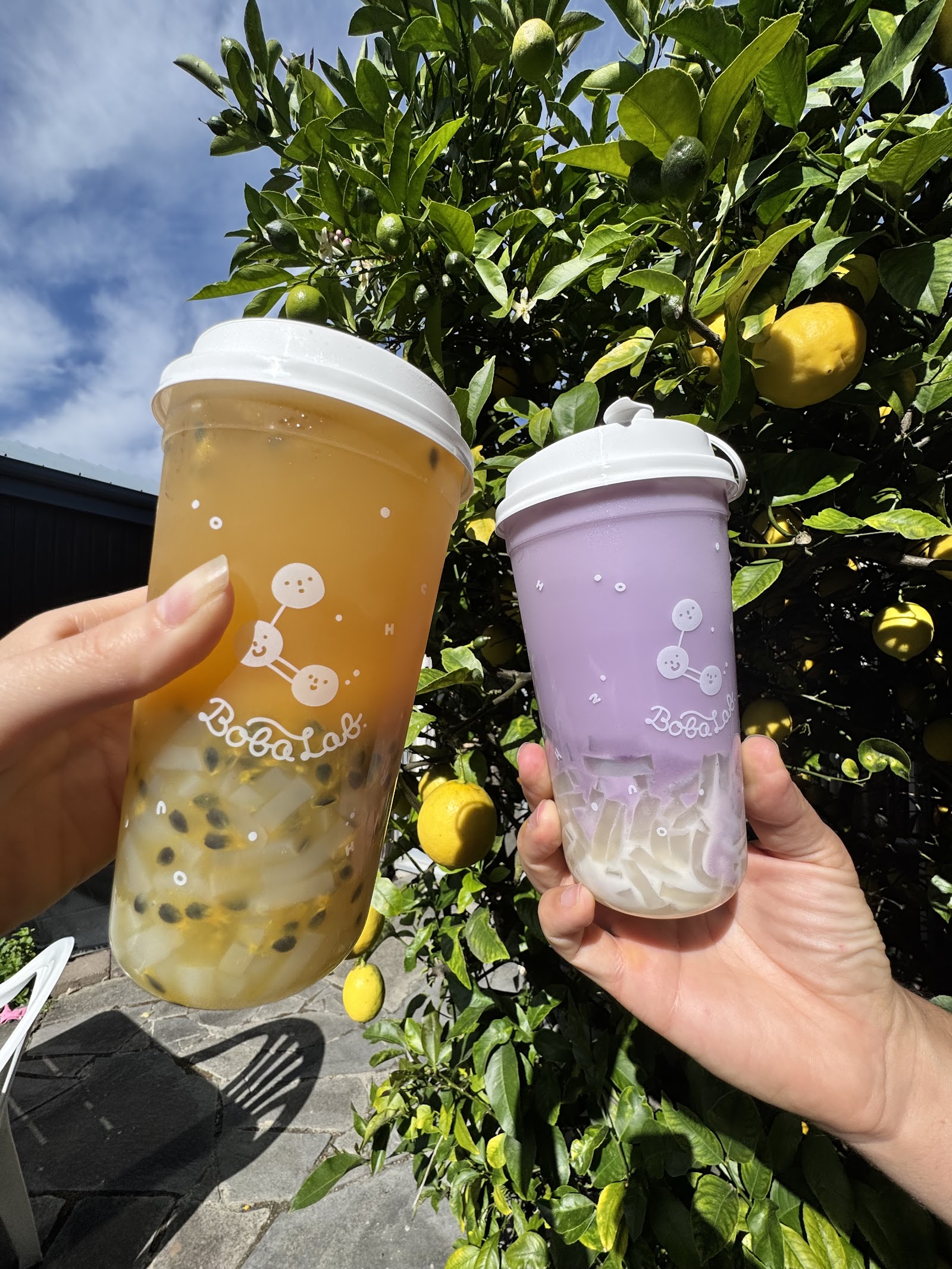 Amber and lavender BobaLab drinks held outdoors.