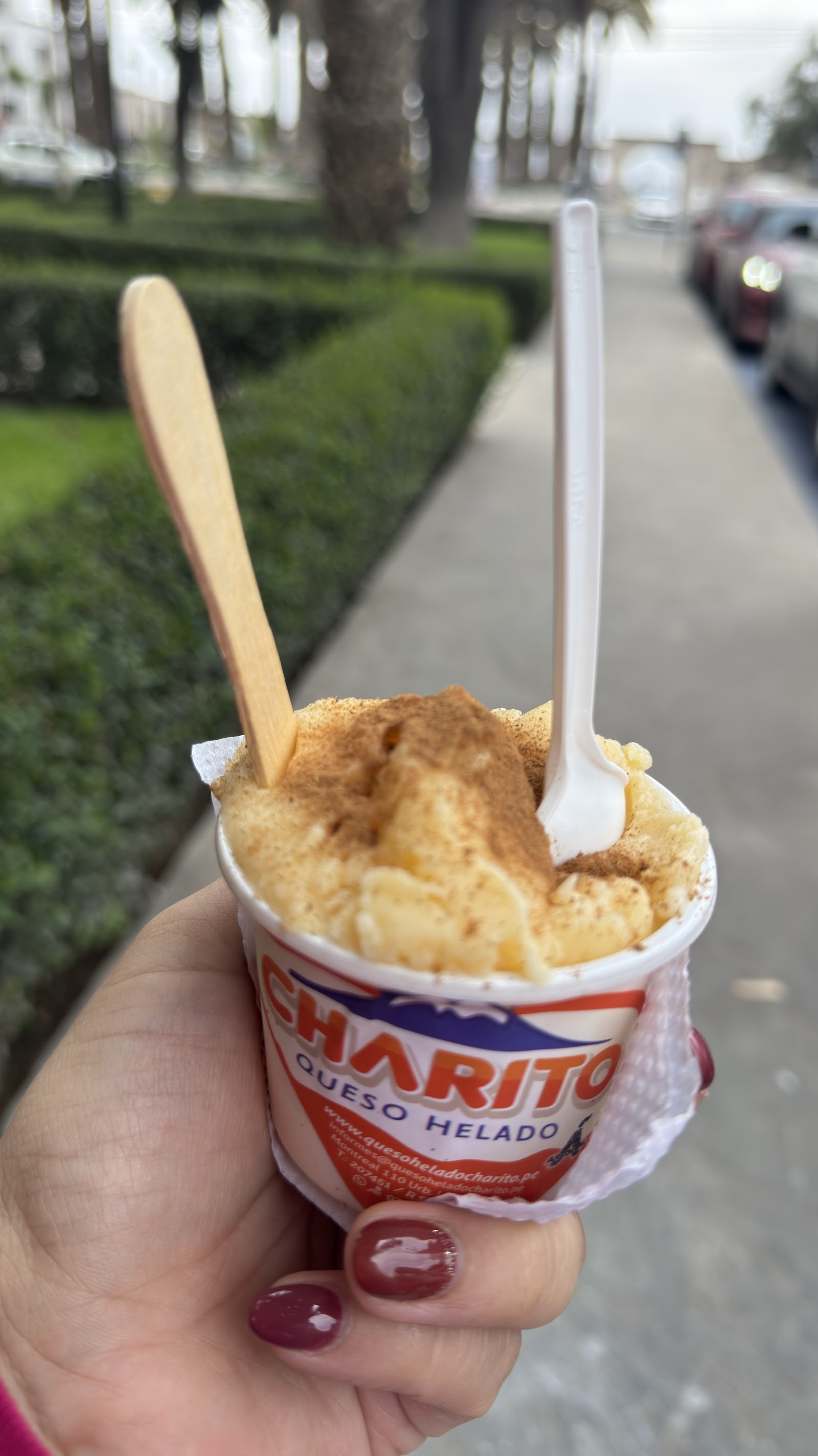 Copa de queso helado Charito con canela y cuchara, Arequipa