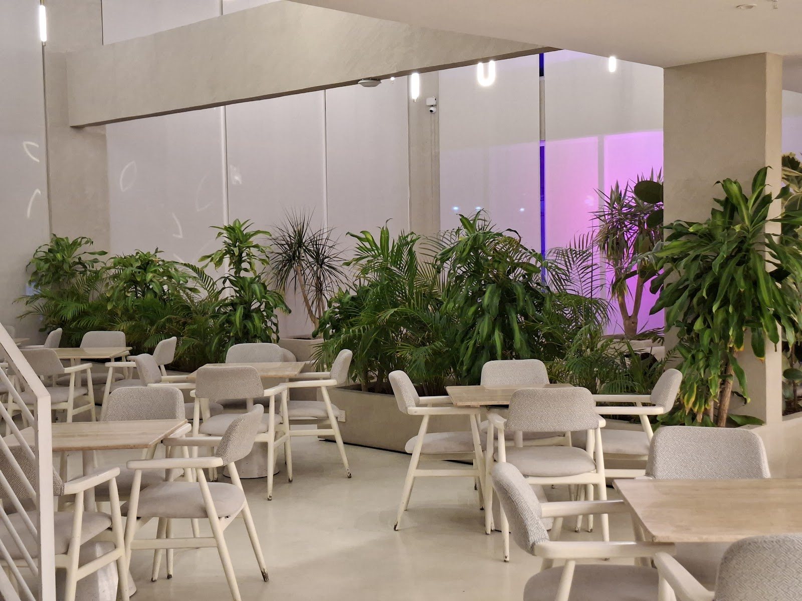 داخل بارينا كافيه — مقاعد بيضاء عصرية وإضاءة دافئة / Inside Barena — modern white seating