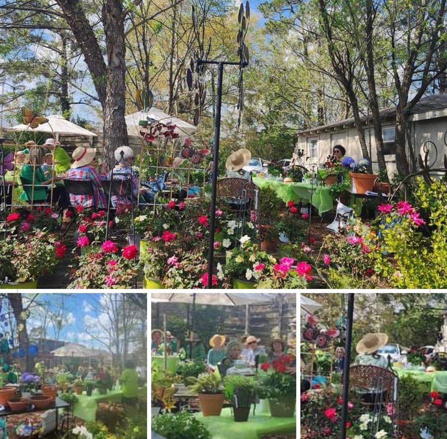Garden-club community gathering at The Mad Potter