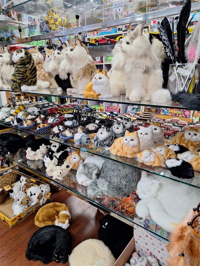 Close-up of soft cat and animal figurines on a shelf